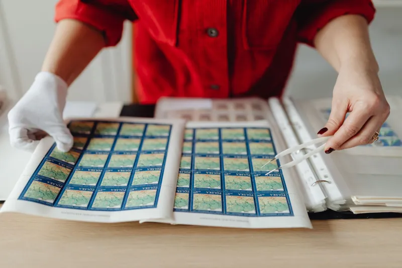 Beyond the Box: How Serious Collectors Turned Their Inventories Into Their Identity